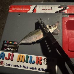 ちょい投げどアジング