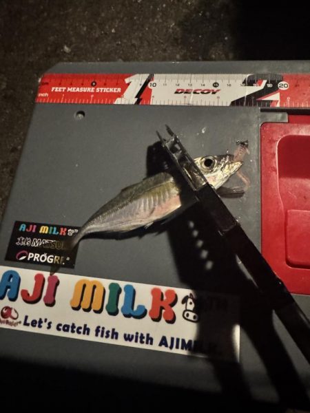 ちょい投げどアジング