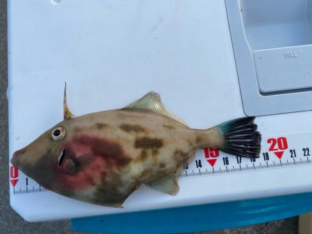 今シーズン初ウマズラ！