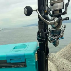 ピンポイントで、