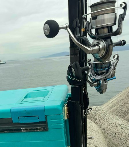 ピンポイントで、