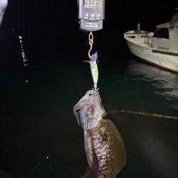 【伊根エリア】500g突入！秋イカ探し③