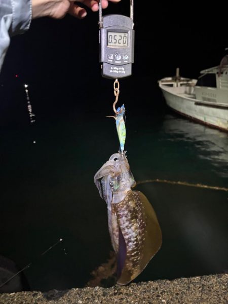 【伊根エリア】500g突入！秋イカ探し③