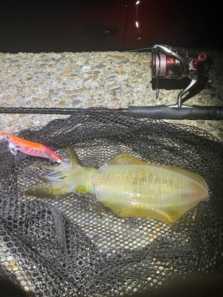 秋🦑何とか5杯(^.^)