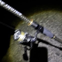 ナイトエギング