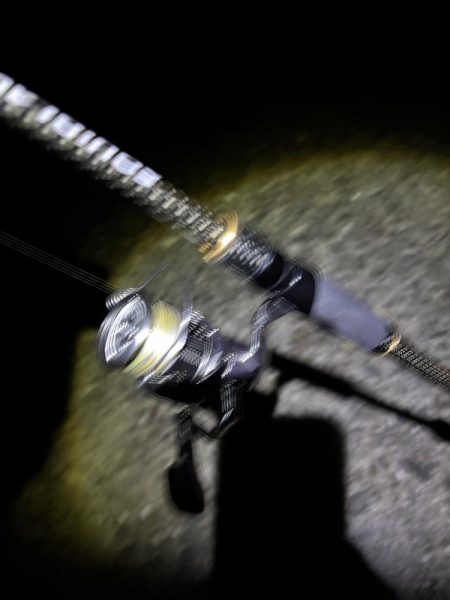 ナイトエギング