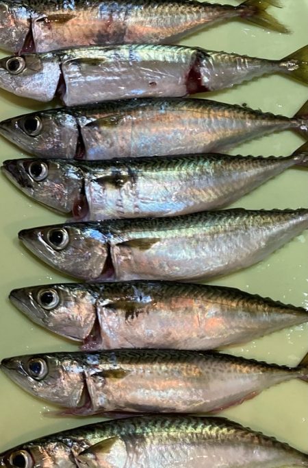 サバゲーでプラクティス