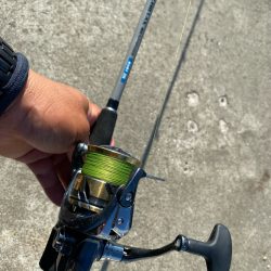 シロギスタ:陸っぱりカワハギ12尾