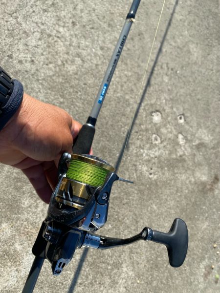 シロギスタ:陸っぱりカワハギ12尾