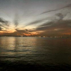 今年最終に大漁節♪