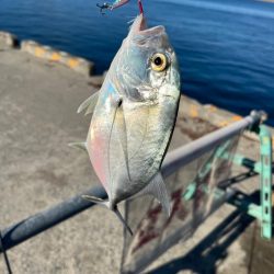 ライトショアジギングとライトゲーム