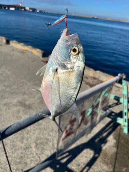 ライトショアジギングとライトゲーム