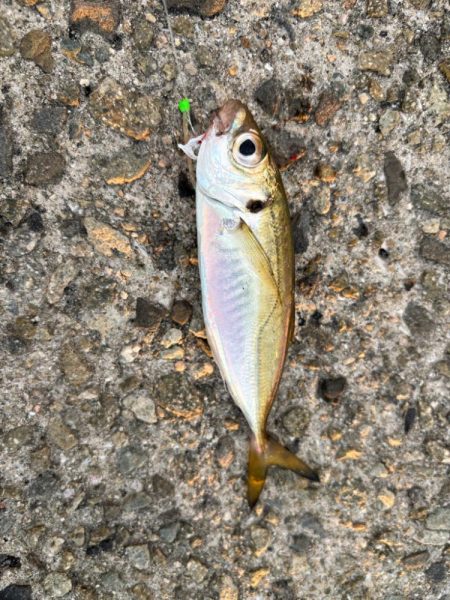 ジグサビキ　39