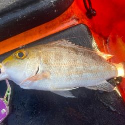 カヤックフィッシング