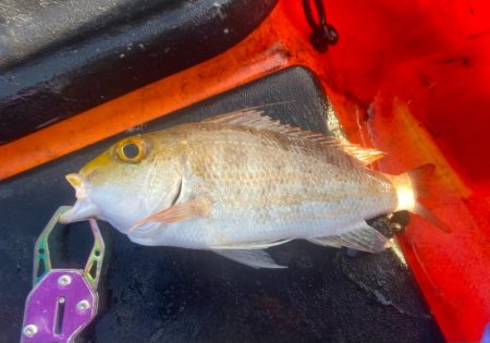 カヤックフィッシング