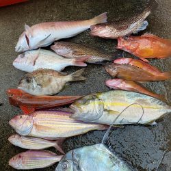 カヤックフィッシング