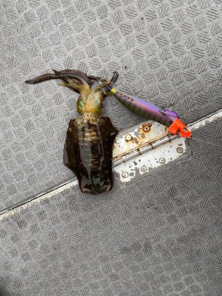 和歌山ティップラン