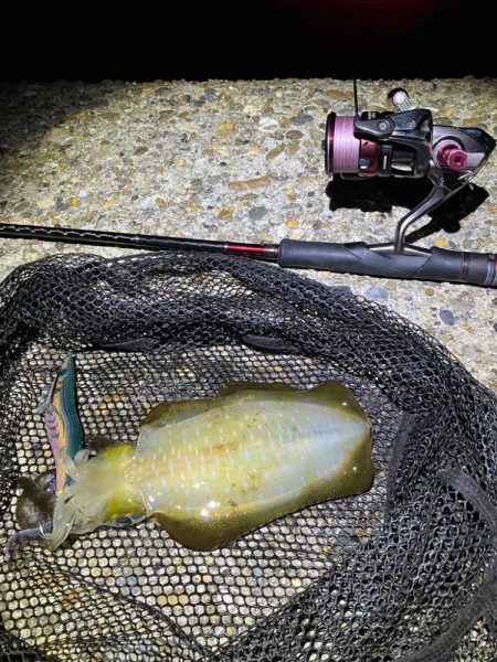 秋🦑　中々サイズが出ない😅