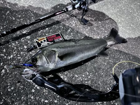 納得いかん…どゆこと？