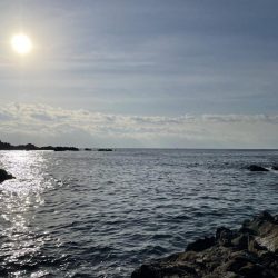 ランガンエギング