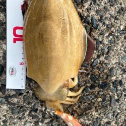 晩御飯の一品が…