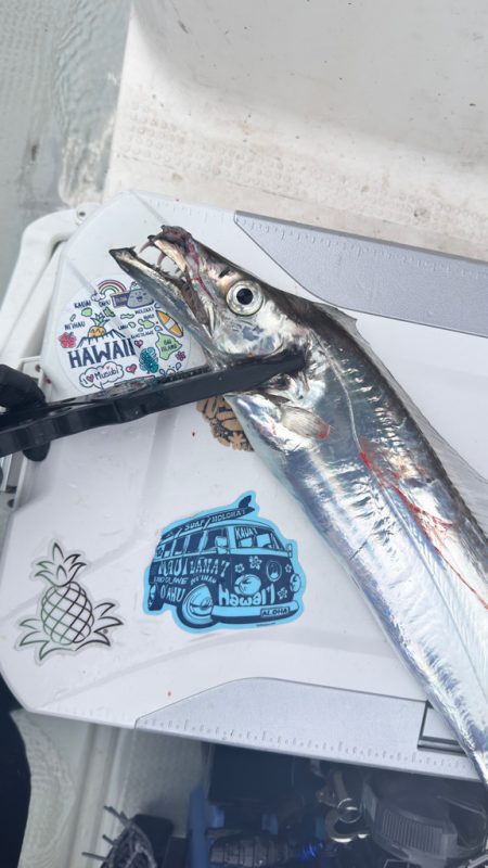 タチウオ/タチウオテンヤ