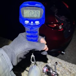 秋🦑 横風のなかエギング😅