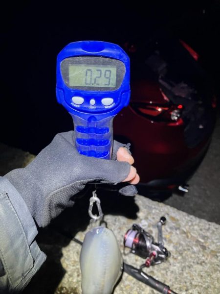 秋🦑 横風のなかエギング😅