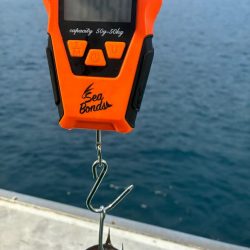 ティップラン和歌山