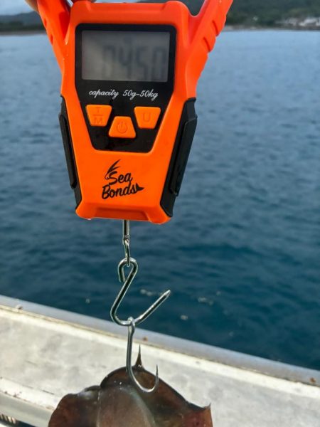 ティップラン和歌山