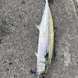 ショアジギング