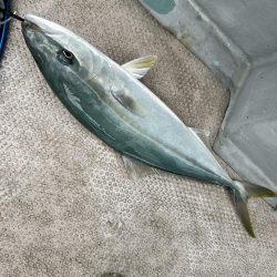 サワラカッター地獄