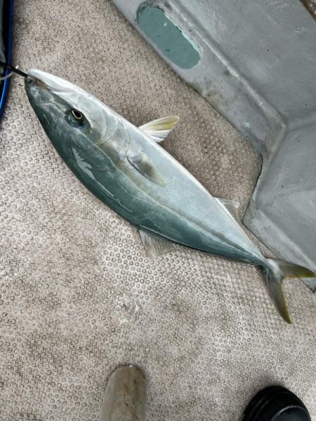 サワラカッター地獄