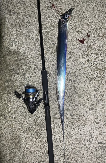 テンヤ改&エギング