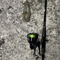 久しぶりのエギング釣行