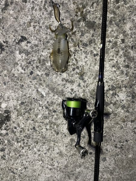 久しぶりのエギング釣行