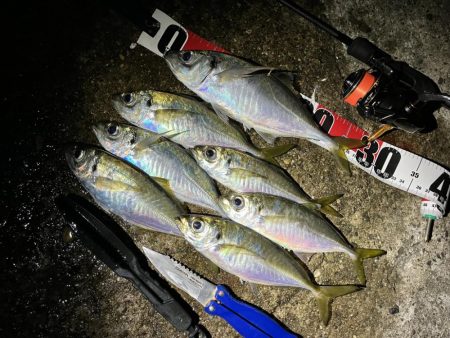 今シーズンは良いサイズ