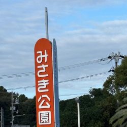 エギング朝　波がえぐい