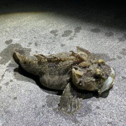 寒いけど楽しい釣行