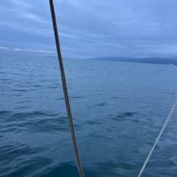 アオリイカ釣りに