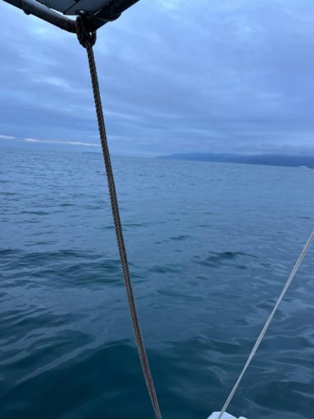 アオリイカ釣りに