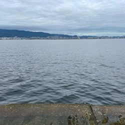 サゴシ祭り参加