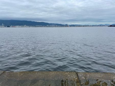 サゴシ祭り参加