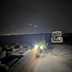 落ちギス狙いに