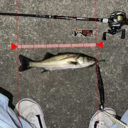 信じた潮回りがあれば…なんとかなる!