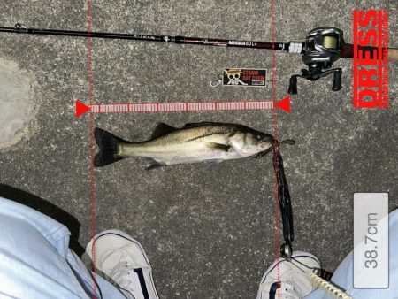 信じた潮回りがあれば…なんとかなる!