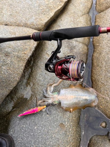 磯エギング🦑