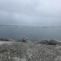 夜明けからずっとサゴシ