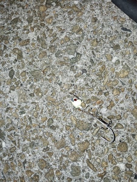 シーズン終盤…　渋かったです