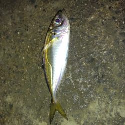 不調の原因がわかった！